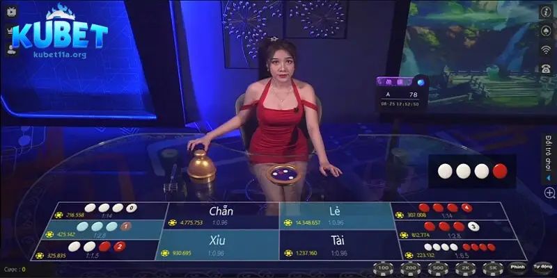 Người chơi cần chủ động trong xác định thông tin cá cược trên nền tảng Kubet11 Người chơi cần chủ động trong xác định thông tin cá cược trên nền tảng Kubet11